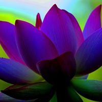 10698433 797858290265955 8433557737549040108 n 1.jpg nc cat108 nc siddbb9e7 nc ohcZ8Z5LWuOO QAX fzNvV nc htscontent bru2 1 1