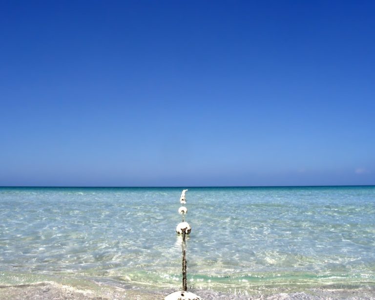 11227417 496927240462937 1947881407559209887 o 768x614