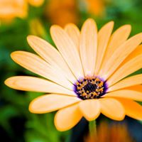 12419216 1440582289300631 5790741668573305228 o 2.jpg nc cat109 nc siddbb9e7 nc ohcnNfq rOyw4kAX 08P8U nc htscontent lhr8 1 2