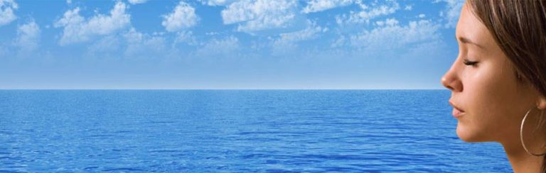 13445806 836200903180535 3722743424741830727 n 768x244