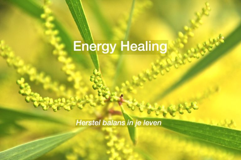 14711245 175984422849536 4836670108500134287 o 1 768x510