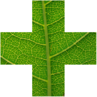 16105882 363177167377864 8842830404675191352 n 2.png nc cat108 nc siddbb9e7 nc ohcOYfjyAmCgqcAX8Qsjkk nc htscontent frt3 1 2