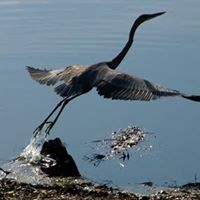 167633 178060672229122 2796298 n 2.jpg nc cat111 nc siddbb9e7 nc ohc6BSg3KT81dAAX98id0m nc htscontent lhr8 1 2