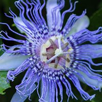 27500389 10159967781015424 1781422334958176986 o 2.jpg nc cat110 nc siddbb9e7 nc ohcVxdv5FFdPG0AX rXrin nc htscontent frx5 1 2