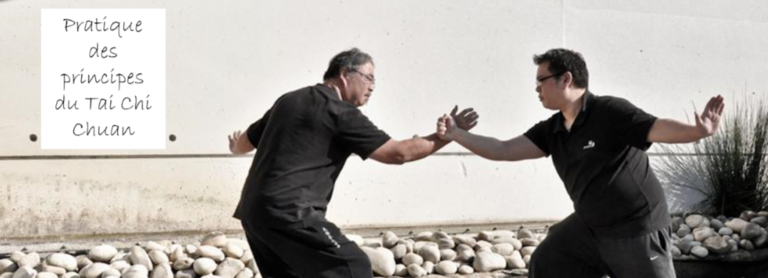 73157118 107489474007813 1612328631269326848 o 768x278