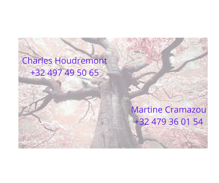 92222707 170262654431045 1432931270404341760 n 768x644