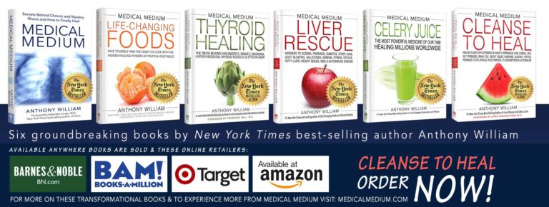 94570107 1878087872326382 4547994058609393664 o 768x290