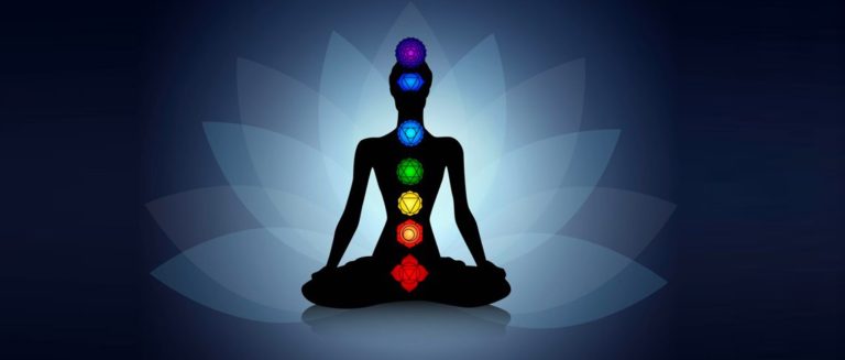 103964387 3918959421510105 4831747290683986222 o 3 768x327