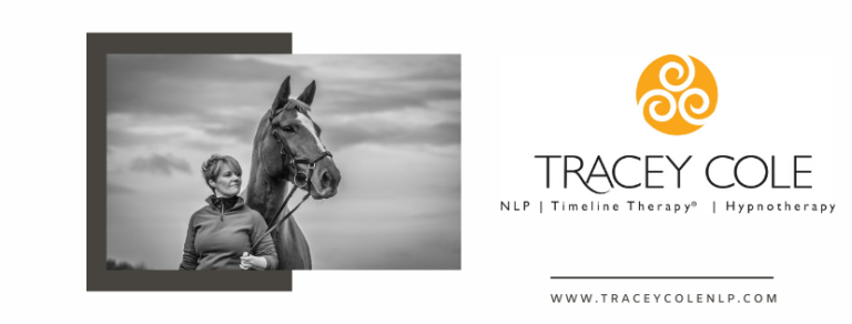 94100749 1526378254202071 8851177833205071872 n 768x292