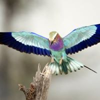 10590 265627900243136 680492535 n 1.jpg nc cat108 nc siddbb9e7 nc ohc1T5Sht0UbTwAX I yGj nc htscontent bru2 1 1