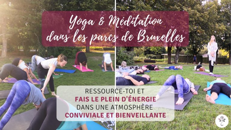 109375944 2700362166884443 374661305547787704 o 1 768x432