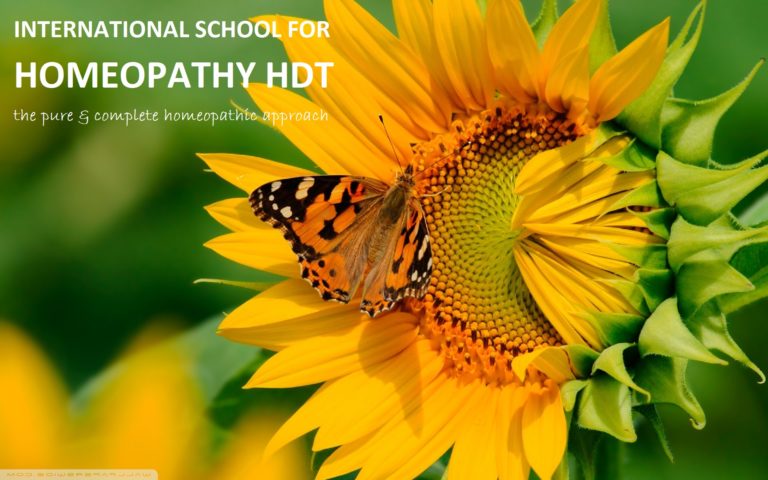 13502732 799009660236214 3992112042245554038 o 768x480