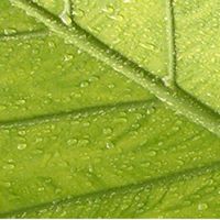 31949 129483967069434 5065956 n 2.jpg nc cat100 nc siddbb9e7 nc ohcEH9E95jM0NQAX9qxold nc htscontent bru2 1 2