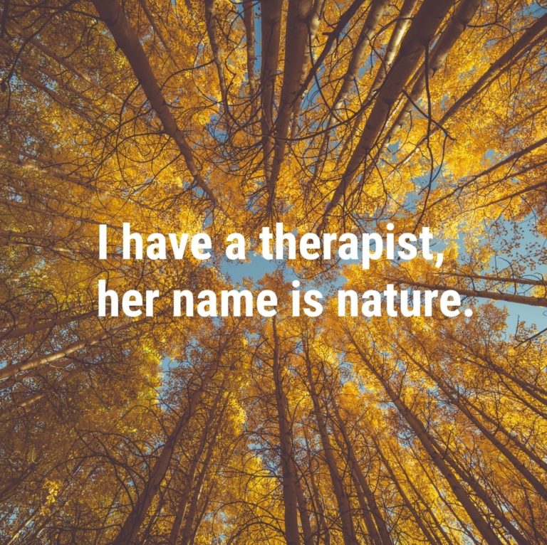 71481727 1416543458498201 7559111165008150528 o 768x766