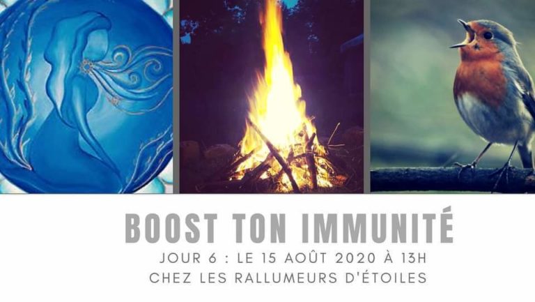 117406281 754749868633043 2825875674016444481 n 1 768x433