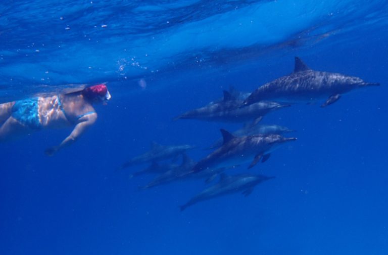 82587717 2728231677259632 8625573891319791616 o 1 768x504