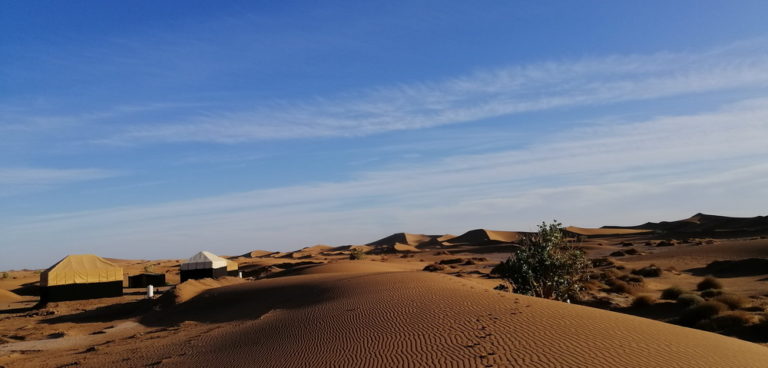 IMG 20191015 175523 redimensionner 768x368