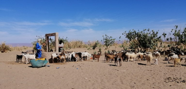 IMG 20191016 112126 redimensionner 768x368