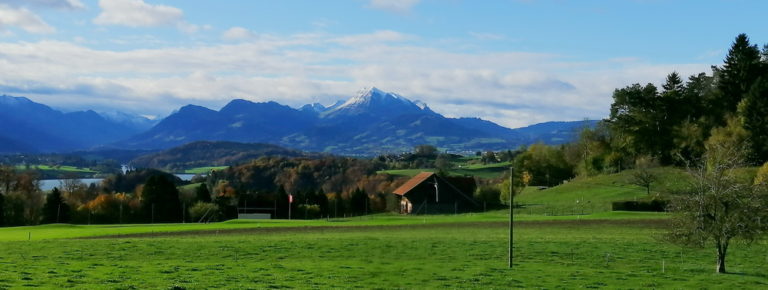 lac gruyere redimensionner 768x290